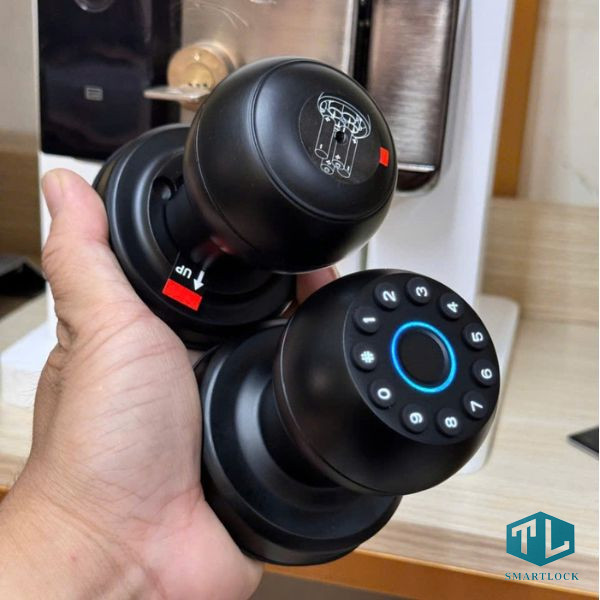 khoa van tay cua go tl31 2